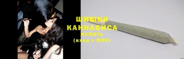 гидропоника Вяземский