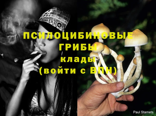 spice Вязники